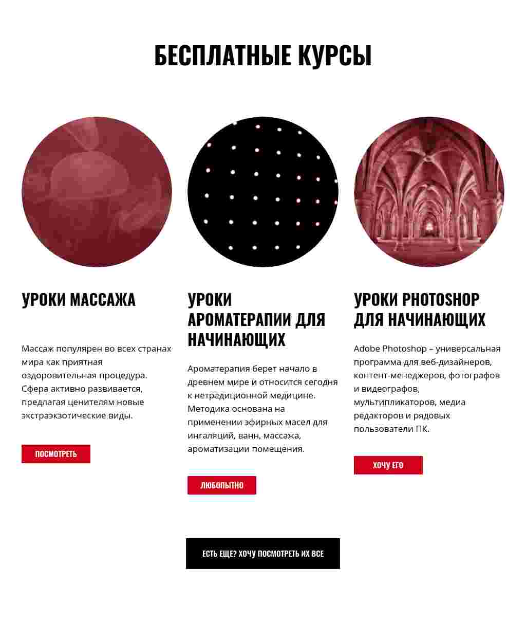 Курсы кружками с описанием — блок для сайта, конструктор Fo.ru