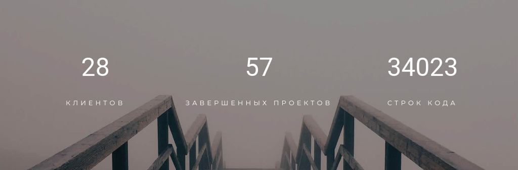 Счётчики поверх фотографии — блок для сайта, конструктор Fo.ru
