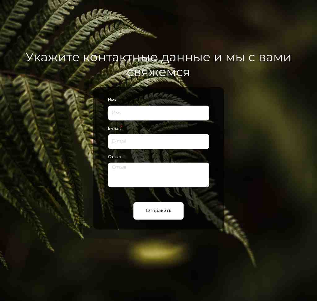 Контакты — фон «папоротник» — блок для сайта, конструктор Fo.ru