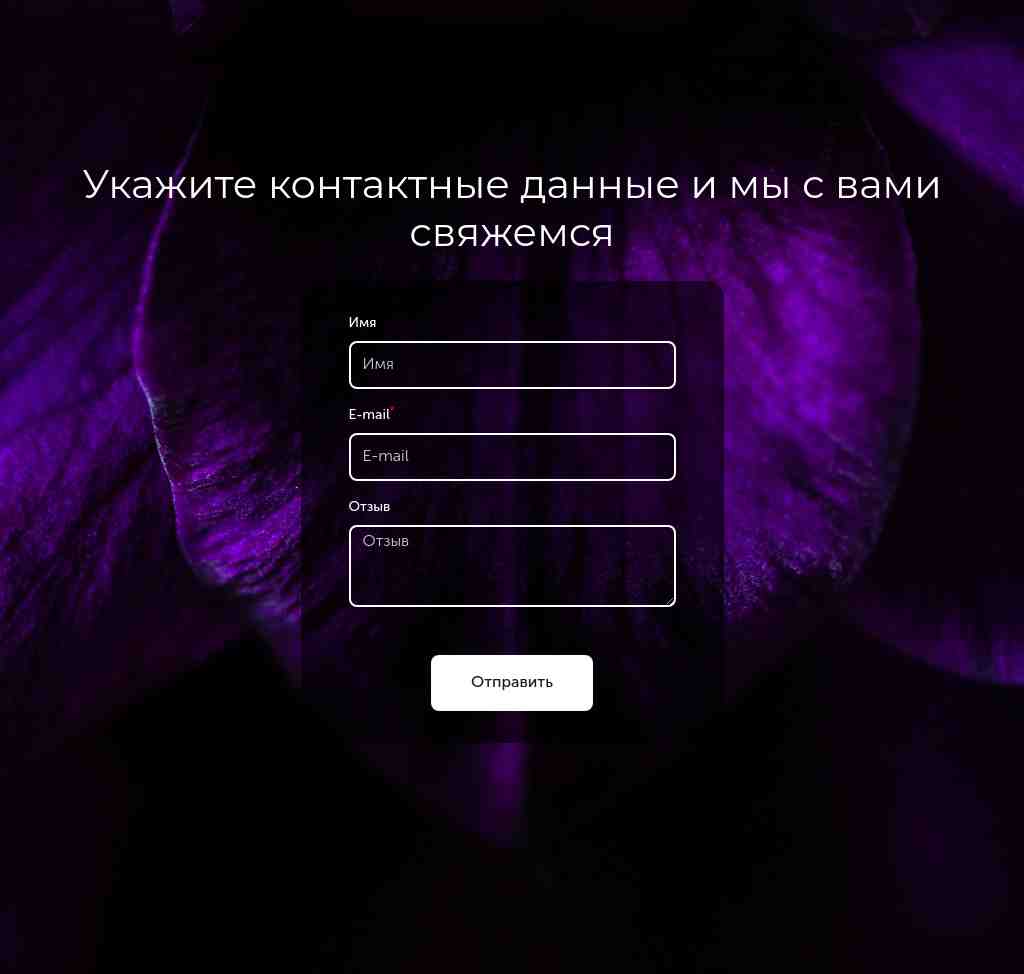 Контакты — фон «фиолетовый цветок» — блок для сайта, конструктор Fo.ru
