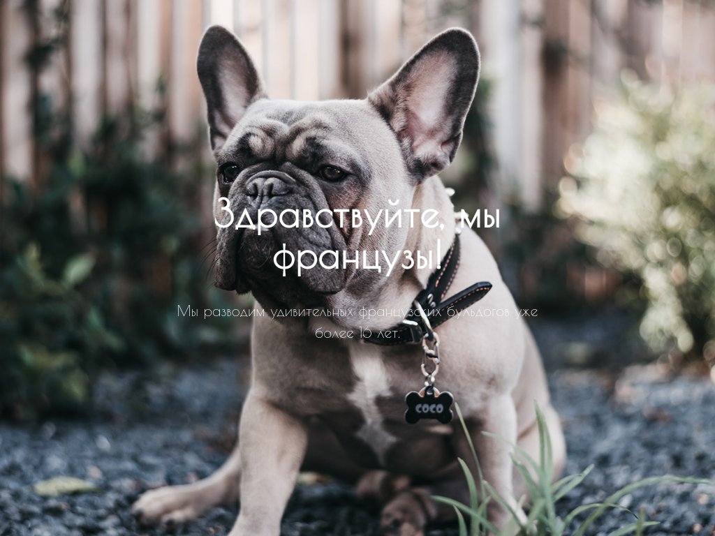 Блоки категории Обложки