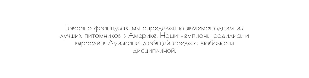 Блоки категории Текстовые блоки