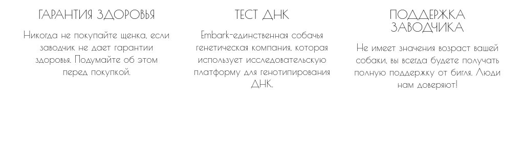 Три колонки текста с заголовками — блок для сайта, конструктор Fo.ru