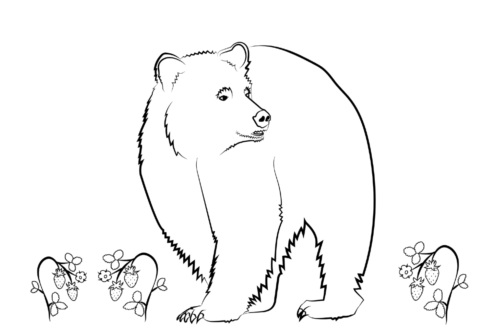 Медведь и волк раскраска